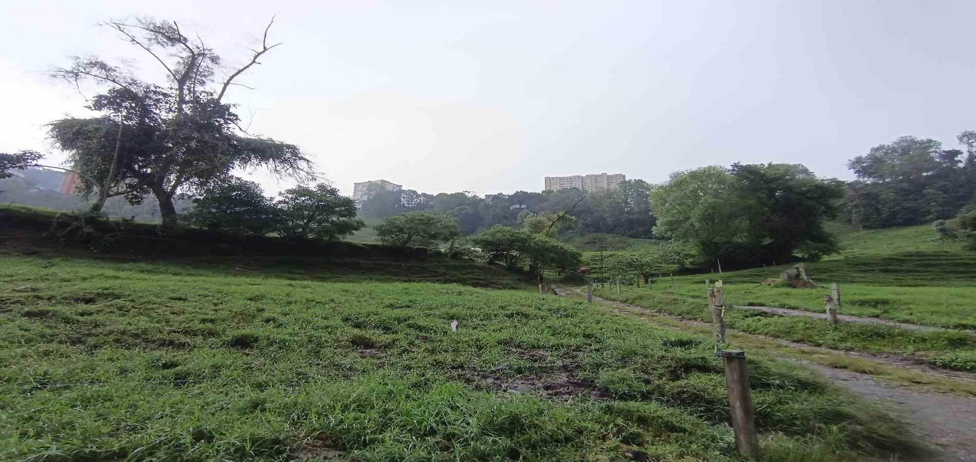 Foto de Finca en Venta en La francia, Manizales - 21 - 279066742