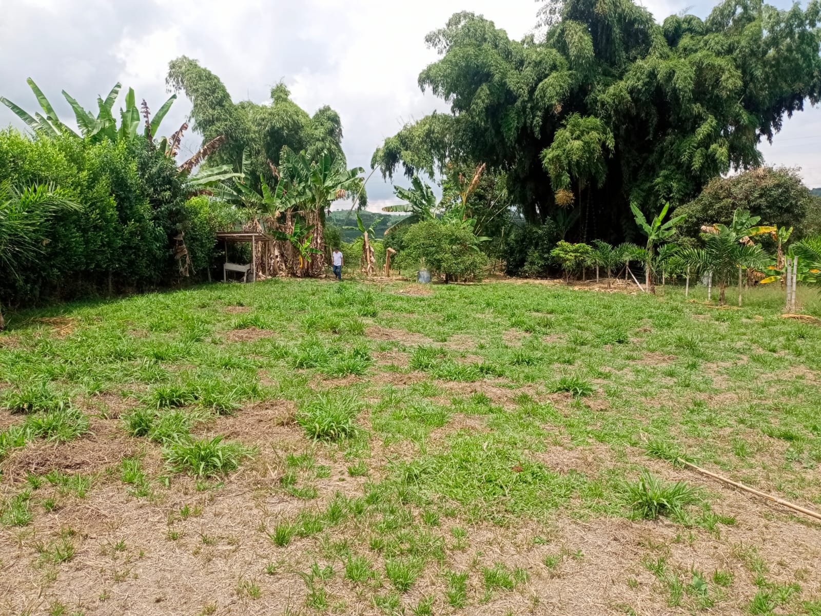 Foto de Lote / terreno en Venta en Santa rosa de cabal, Santa rosa de cabal - 10 - 279059203
