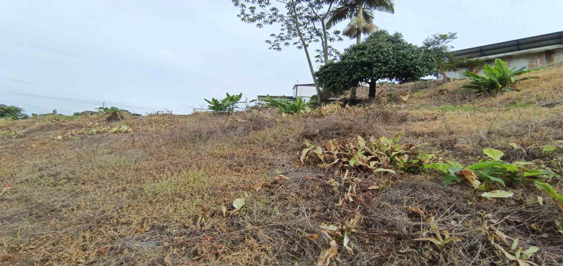 Foto de Lote / terreno en Arriendo en La linda, Manizales - 19 - 279069062