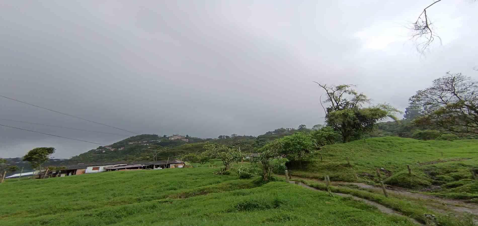 Foto de Finca en Venta en La francia, Manizales - 11 - 279066742