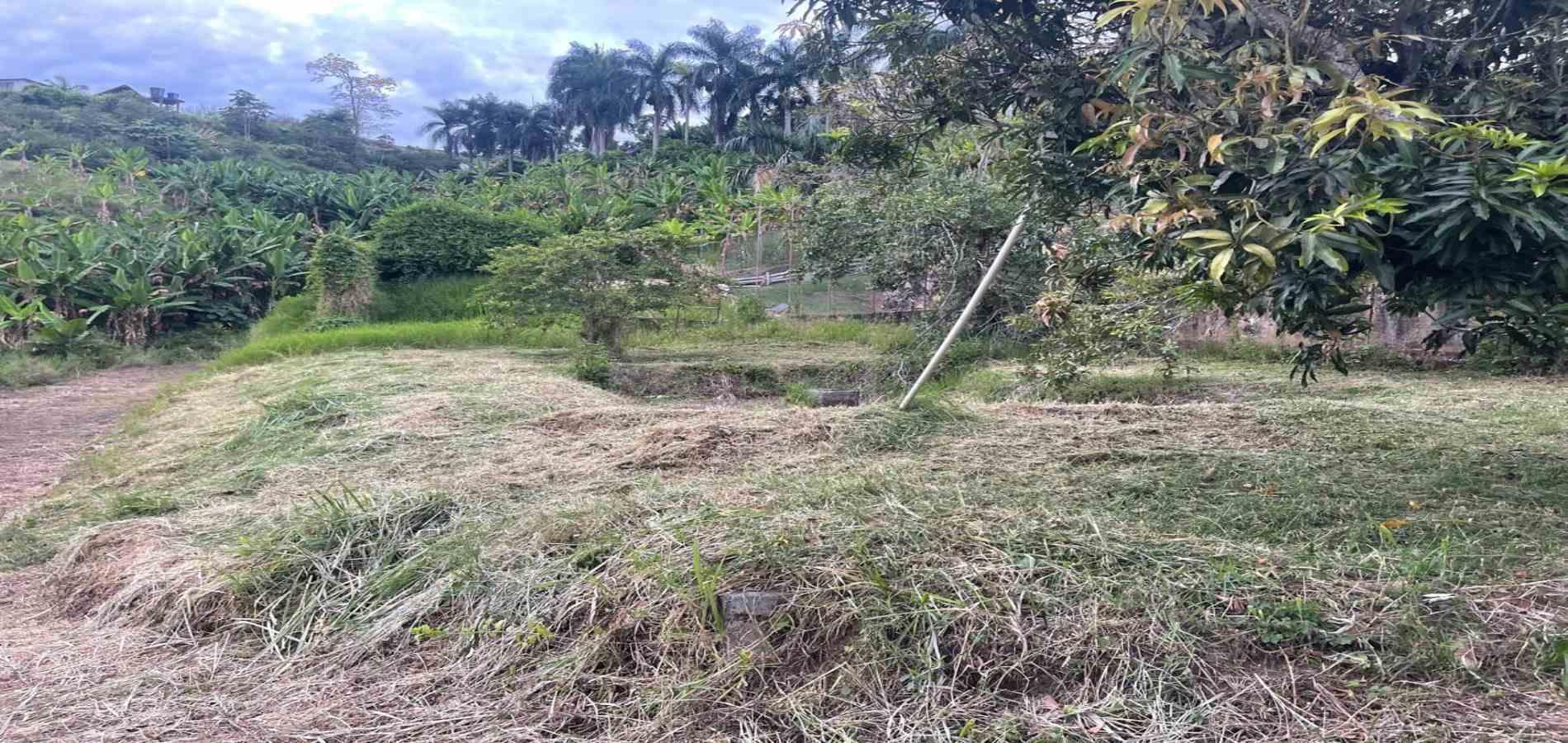 Foto de Finca en Venta en La plata, Palestina - 3 - 279070231