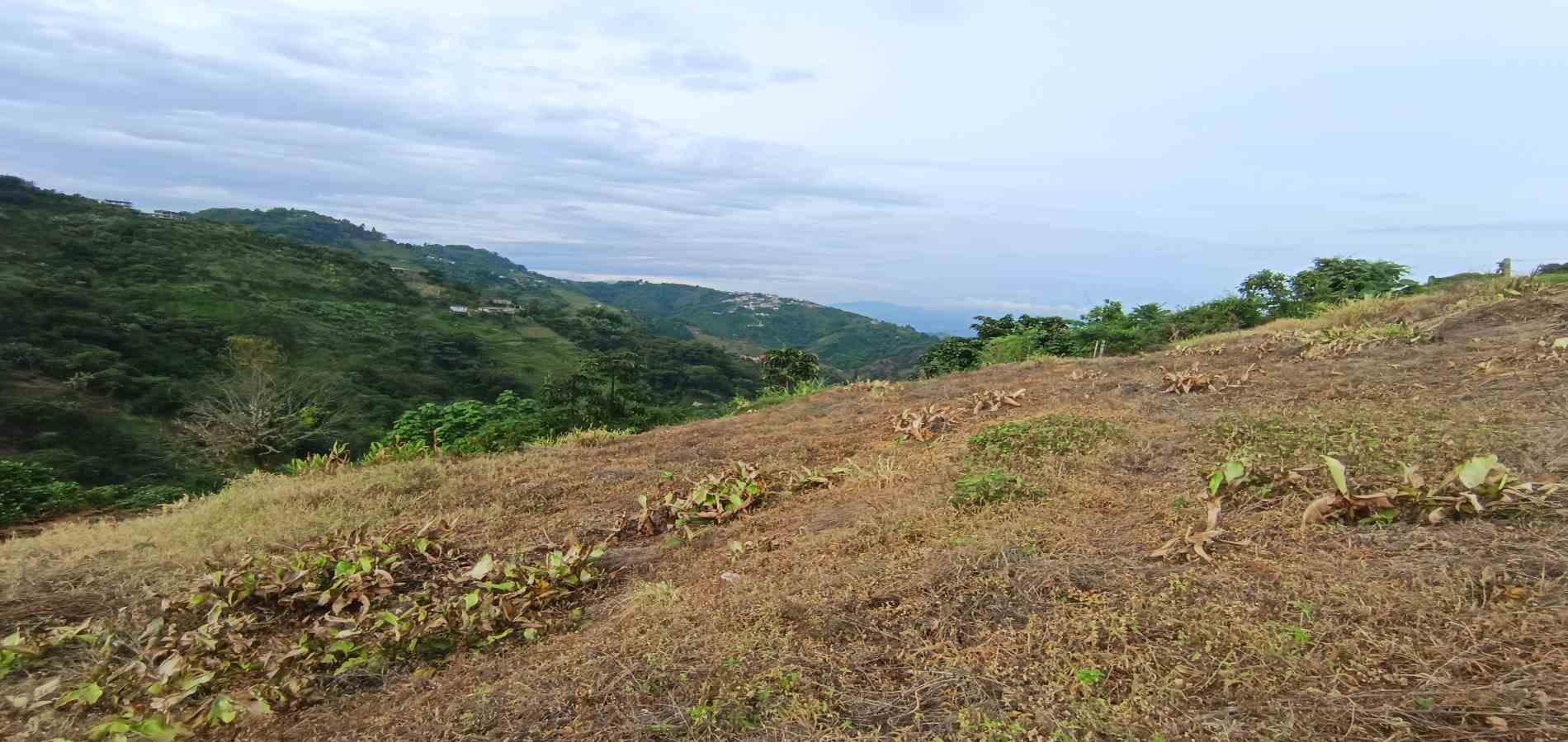 Foto de Lote / terreno en Arriendo en La linda, Manizales - 17 - 279069062