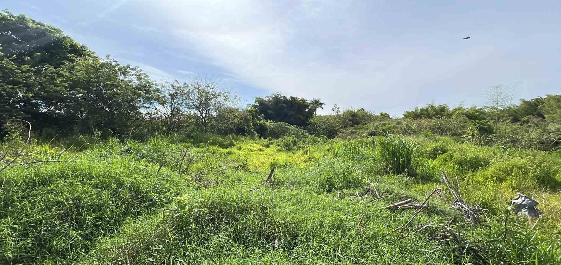 Foto de Lote / terreno en Venta en Cerritos, Pereira - 2 - 279068089