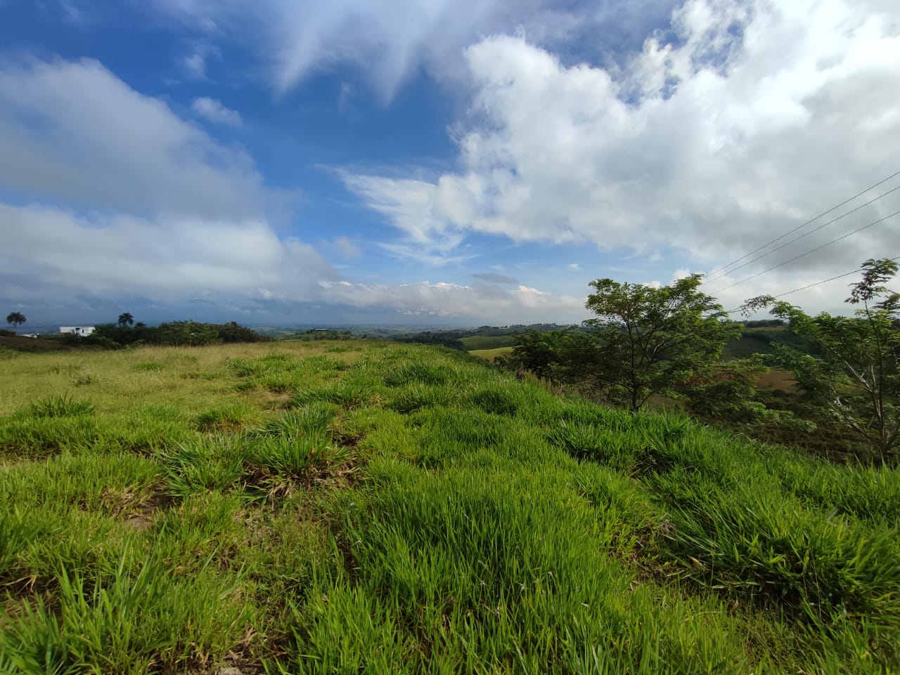 Foto de Lote / terreno en Venta en Cerritos, Pereira - 2 - 279063190