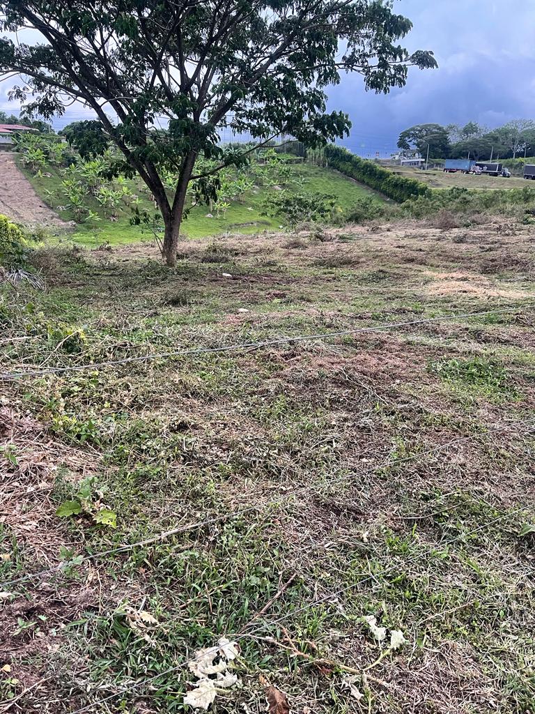 Foto de Lote / terreno en Venta en Cerritos, Pereira - 4 - 279063945