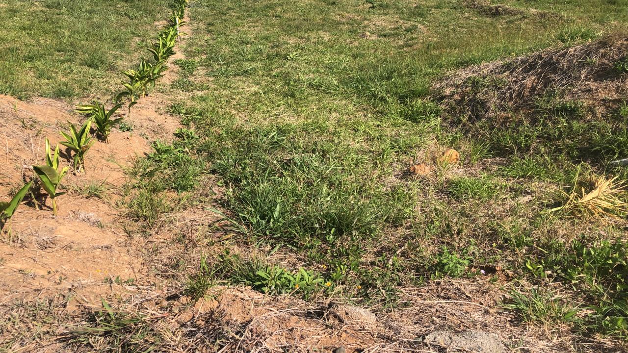 Foto de Lote / terreno en Venta en Cerritos, Pereira - 14 - 279055628