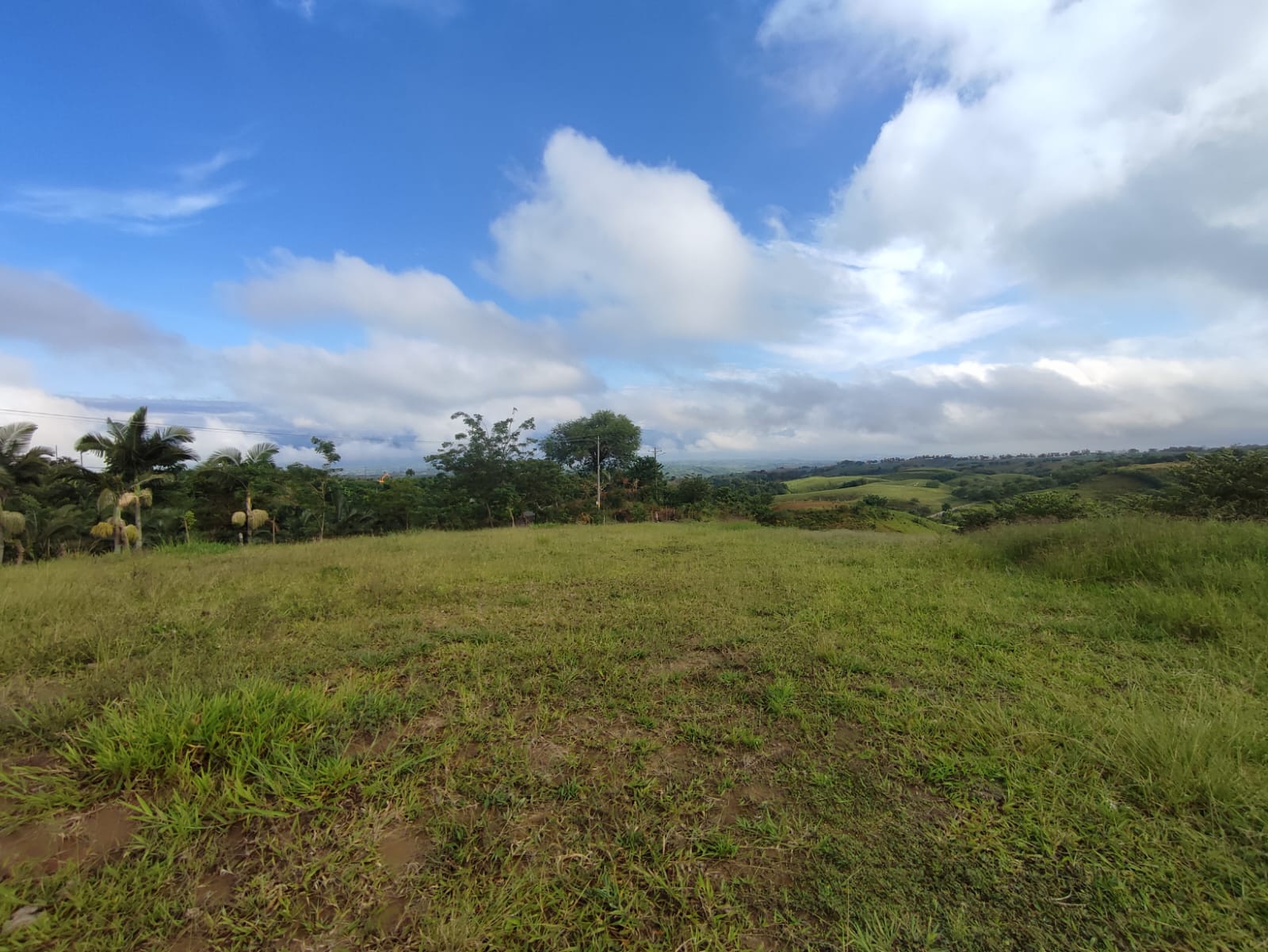 Foto de Lote / terreno en Venta en Cerritos, Pereira - 3 - 279063207