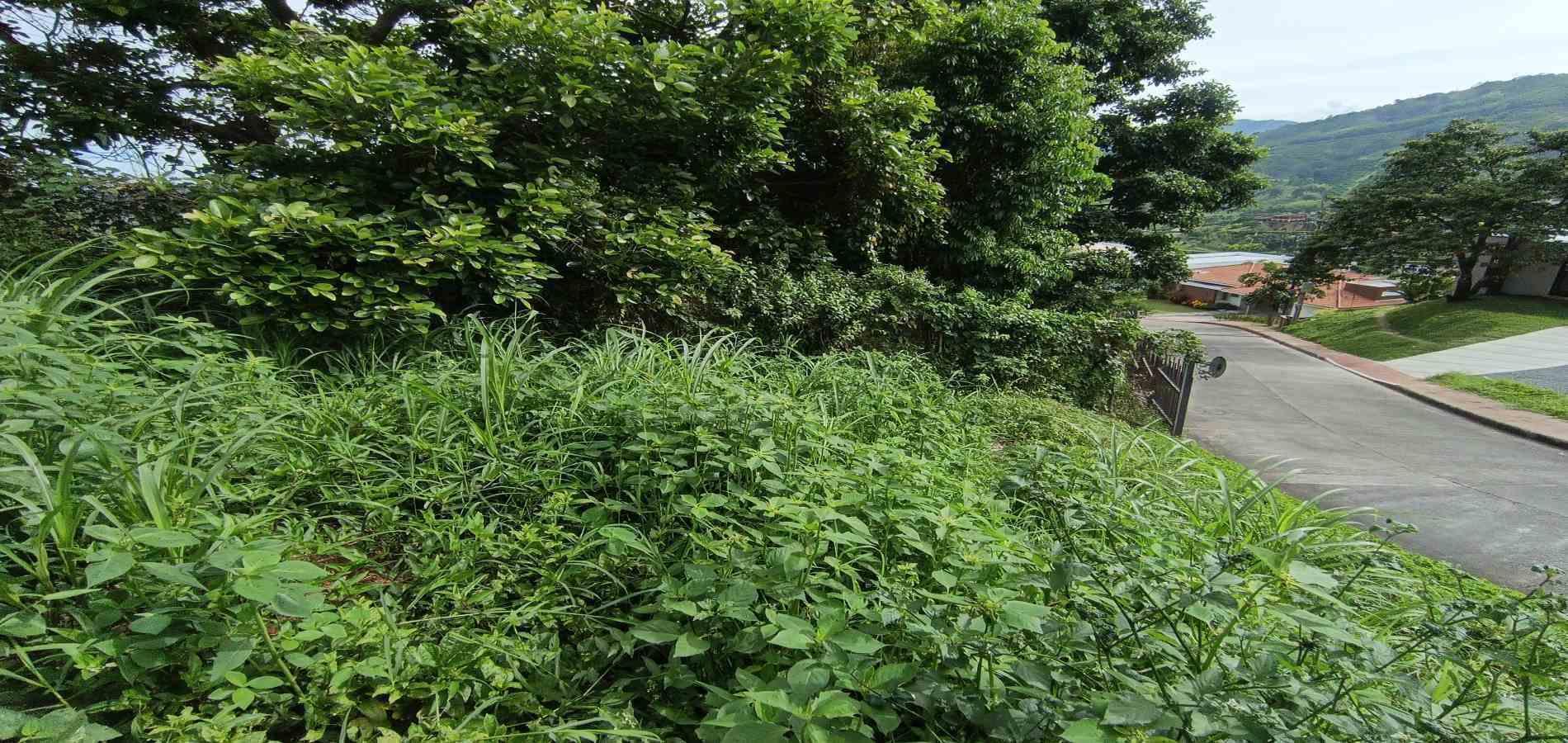 Foto de Lote / terreno en Venta en San bernardo del viento , Manizales - 8 - 279068029