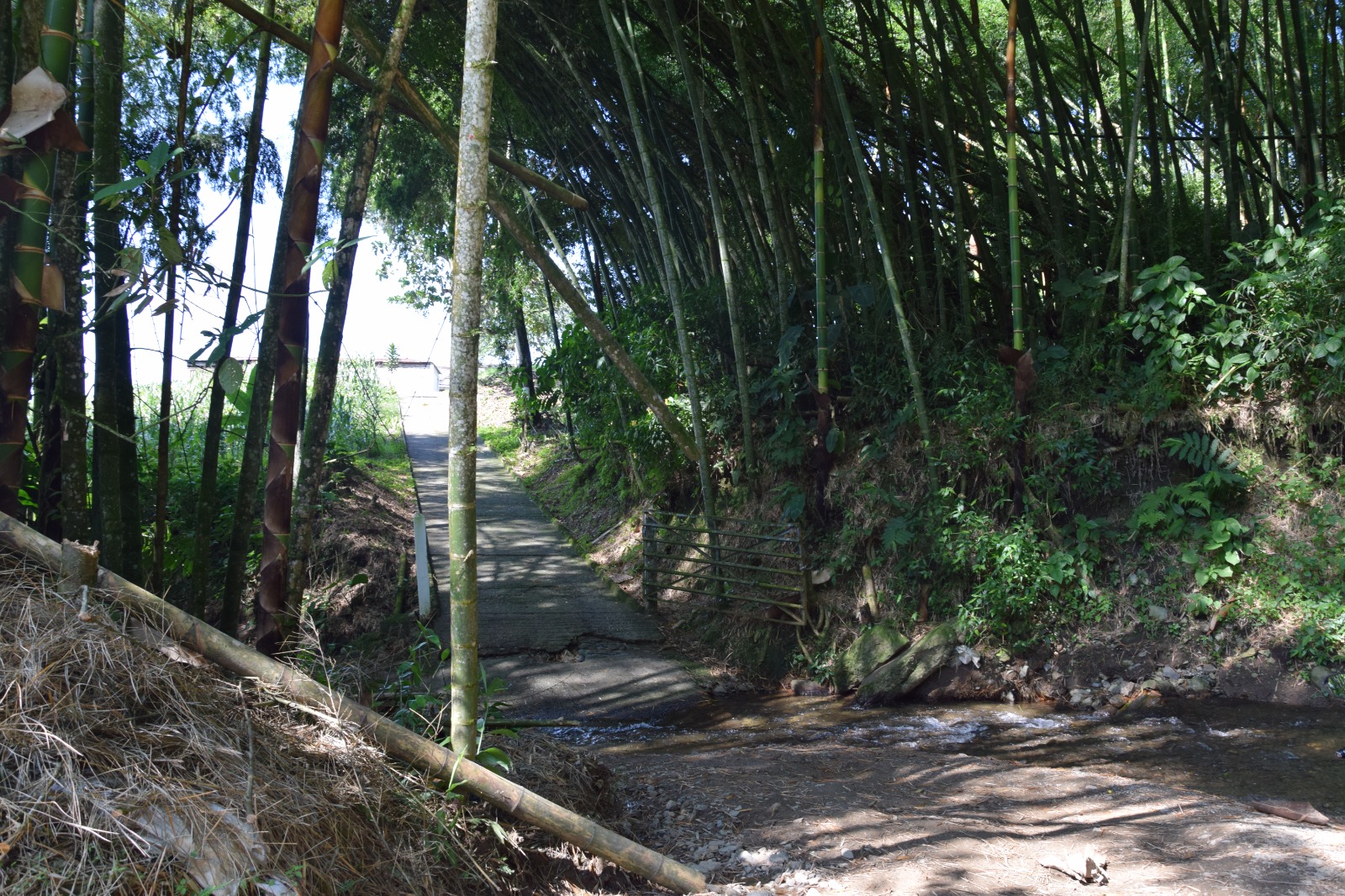 Foto de Finca en Venta en La cabaña, Manizales - 3 - 279058352