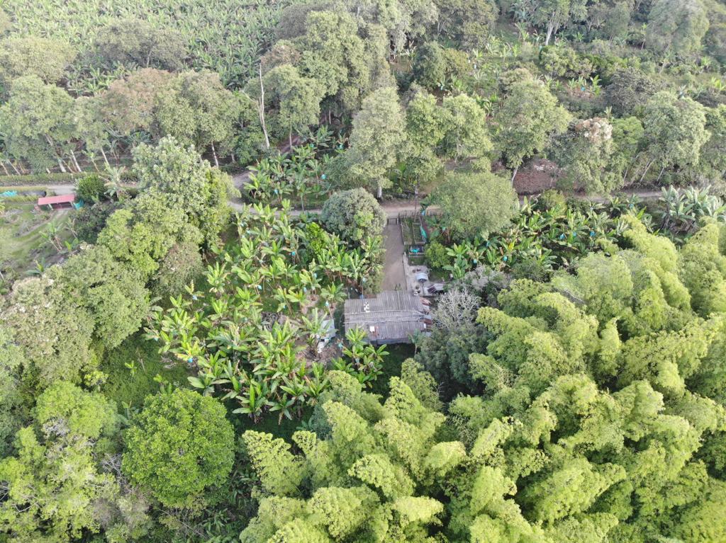 Foto de Lote / terreno en Venta en , Armenia  - 1 - 279068680