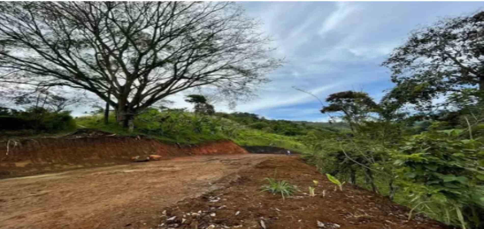Foto de Lote / terreno en Venta en La plata, Palestina - 3 - 279054346