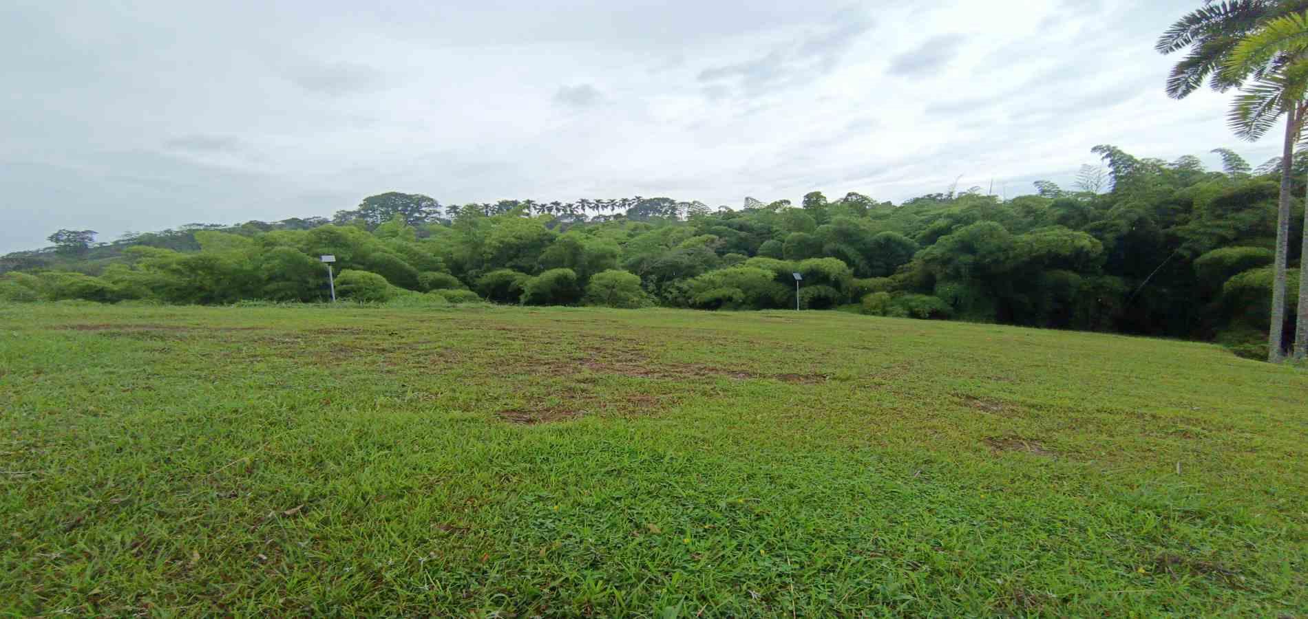 Foto de Lote / terreno en Venta en Vereda la trinidad, Manizales - 2 - 279069692