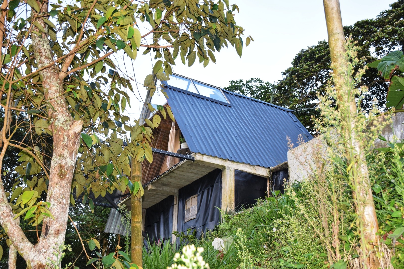 Foto de Finca en Venta en Vereda el brasil, Samana - 4 - 279054933