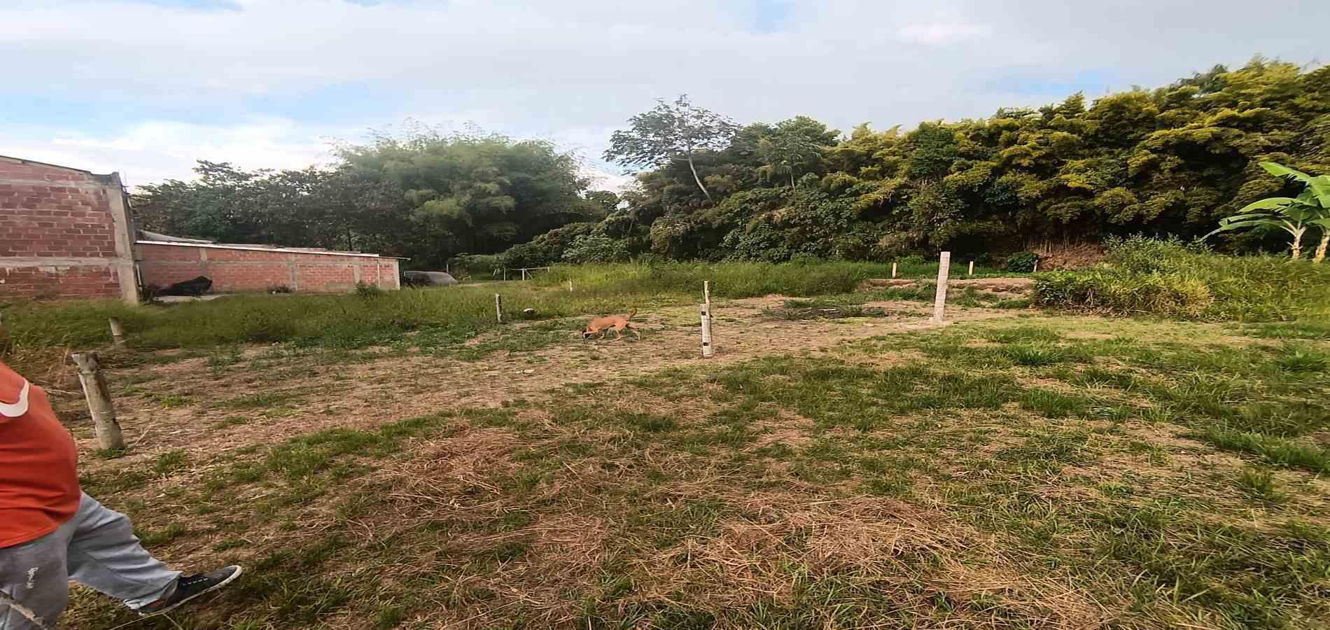 Foto de Lote / terreno en Venta en UrbanizaciÓn santana, Armenia  - 1 - 279059323