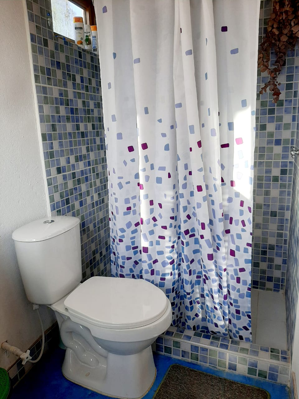 Foto de Finca en Venta en Alto castillo, Villamaria - 12 - 279061533