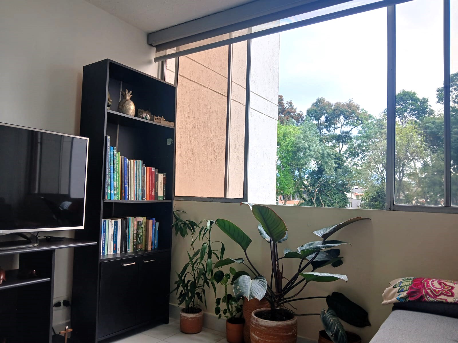 Foto de Apartamento en Venta en Avenida del sur, Pereira - 5 - 279068759