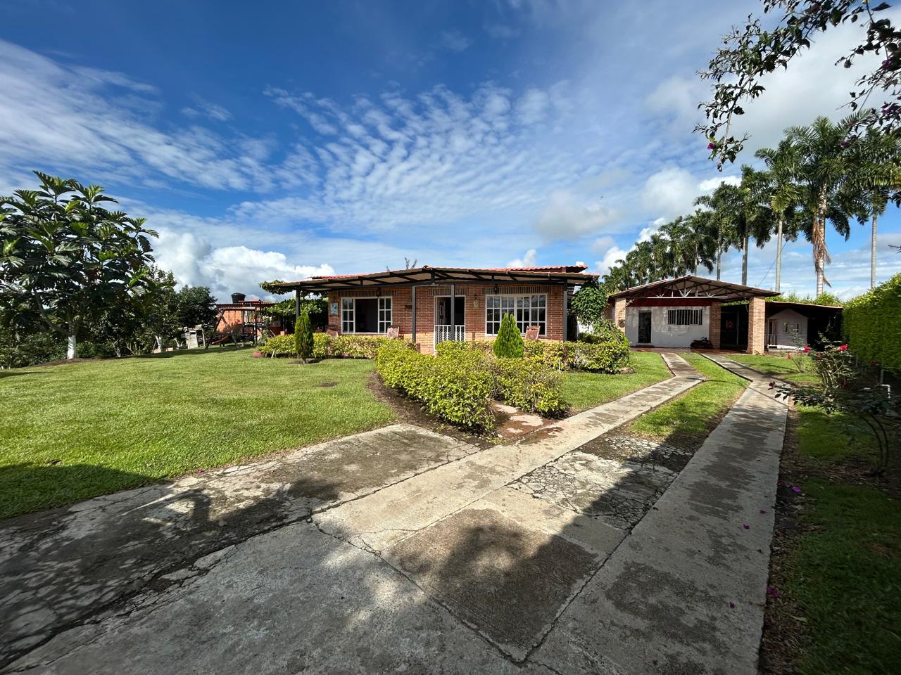 Foto de Finca en Venta en Alcala, Alcala - 5 - 279069727