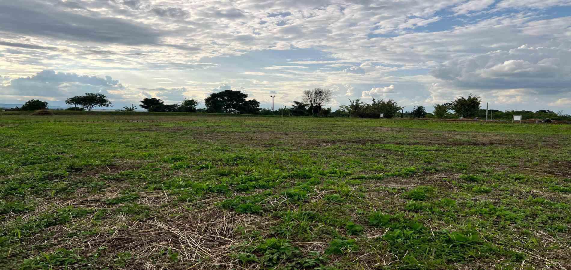 Foto de Lote / terreno en Venta en Armenia, Armenia  - 7 - 279067125