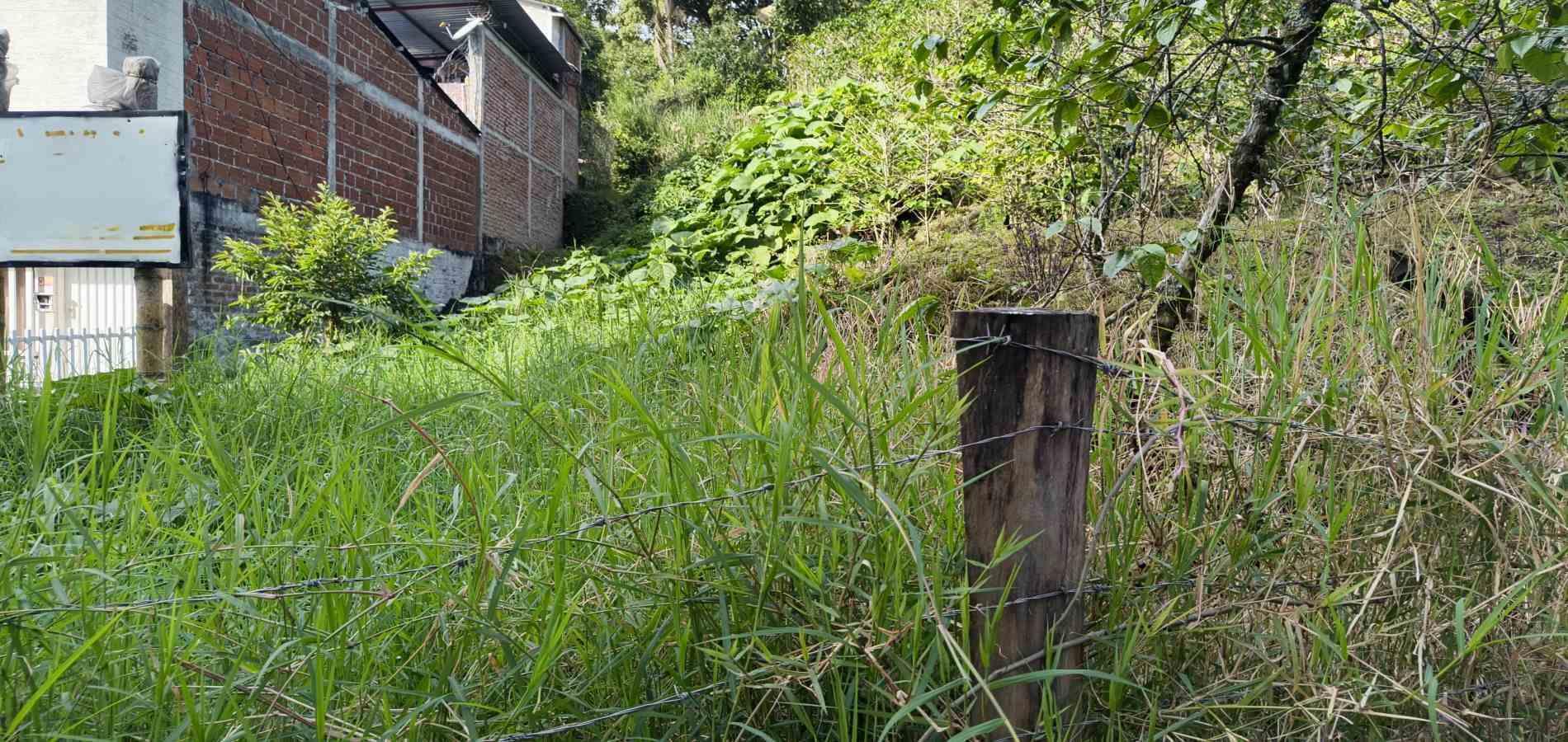 Foto de Lote / terreno en Venta en Corbones, Armenia  - 6 - 279066772