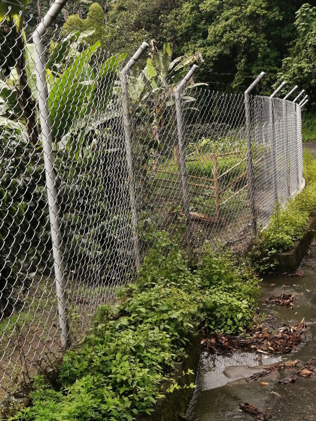 Foto de Finca en Venta en Maracas, Neira - 9 - 279063622