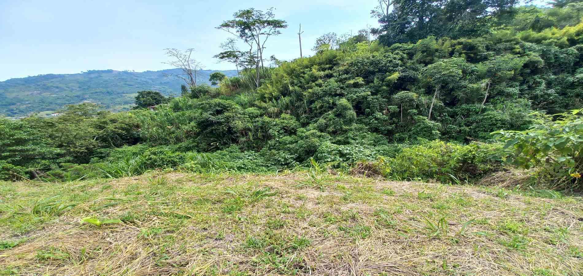 Foto de Lote / terreno en Venta en Combia, Pereira - 17 - 279069589