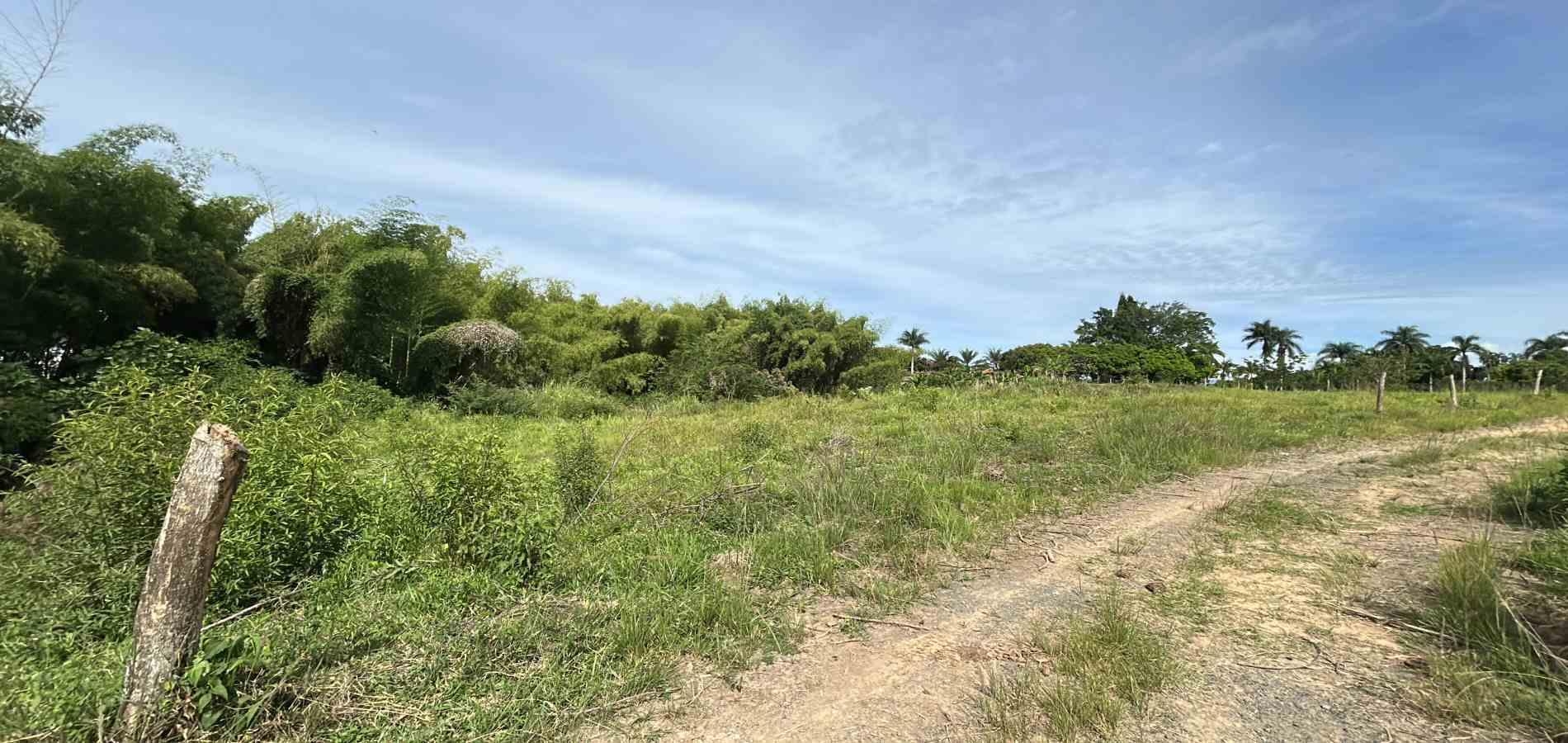 Foto de Lote / terreno para Venta en Cerritos, Pereira - 279068066