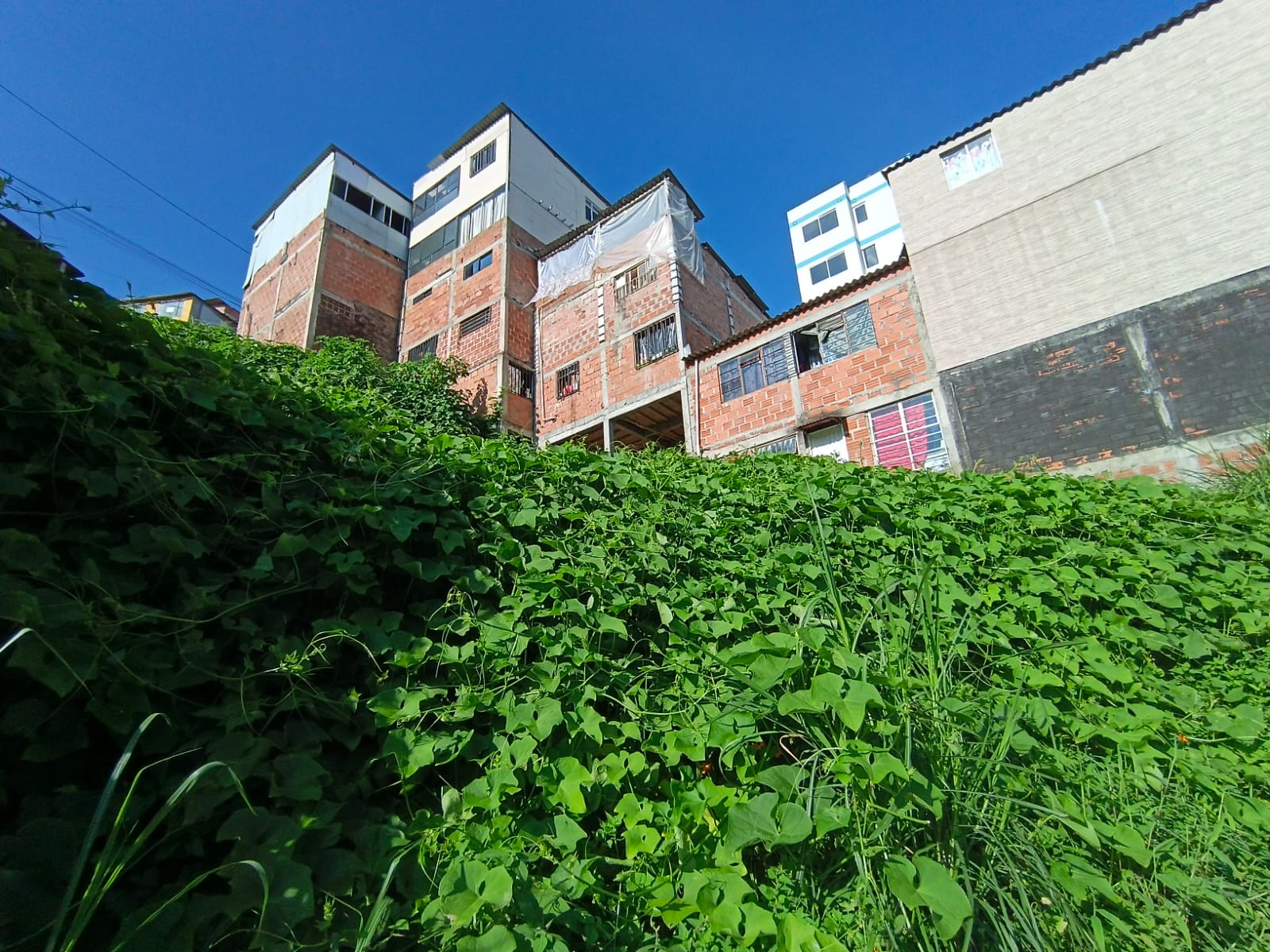 Foto de Lote / terreno en Venta en Bellavista, Villamaria - 3 - 279067096