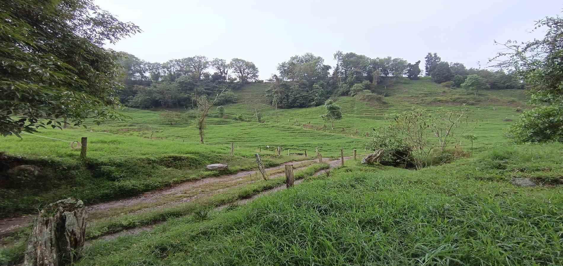 Foto de Finca en Venta en La francia, Manizales - 5 - 279066742