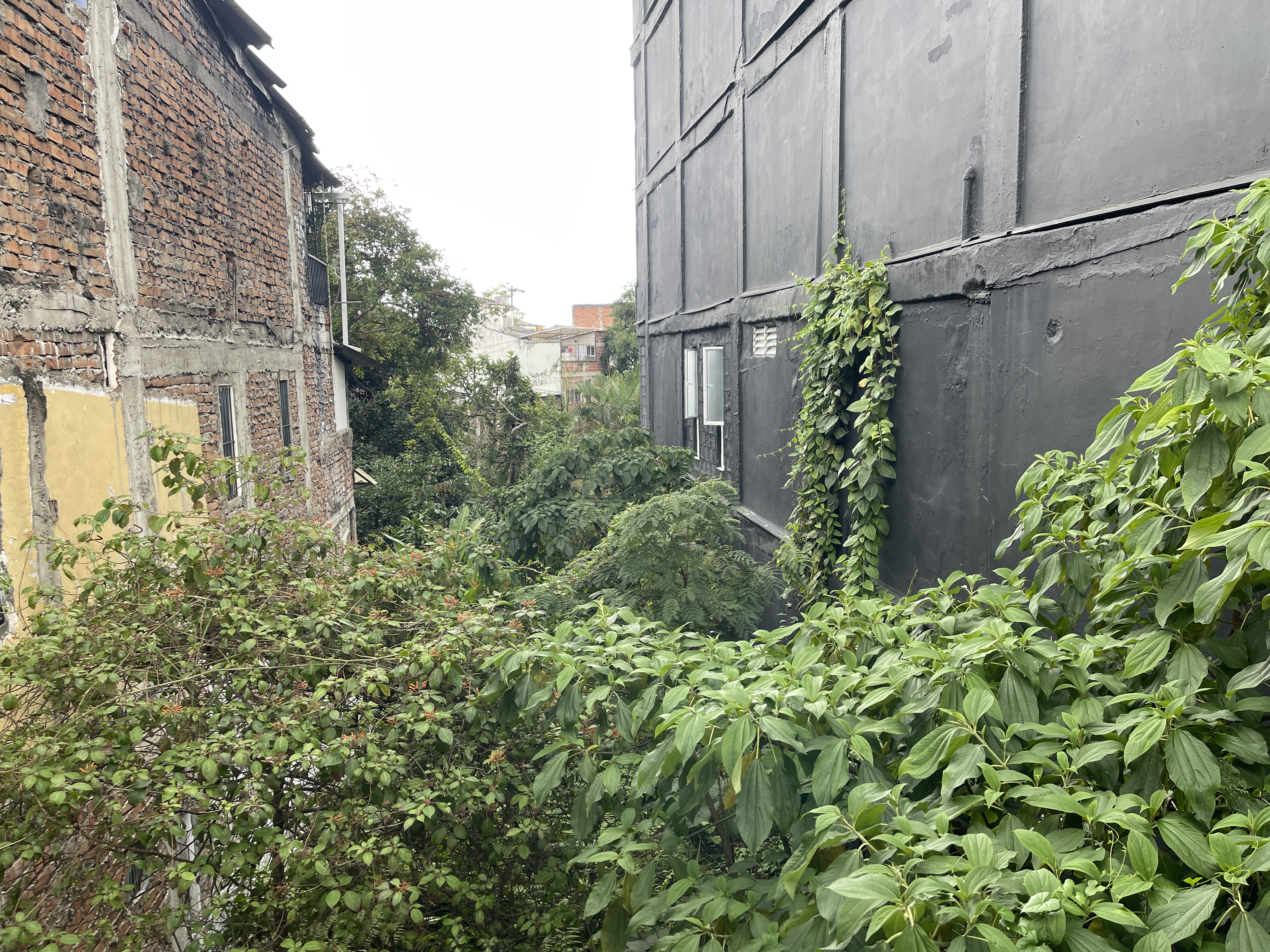 Foto de Lote / terreno en Venta en Galan, Armenia  - 7 - 279065396