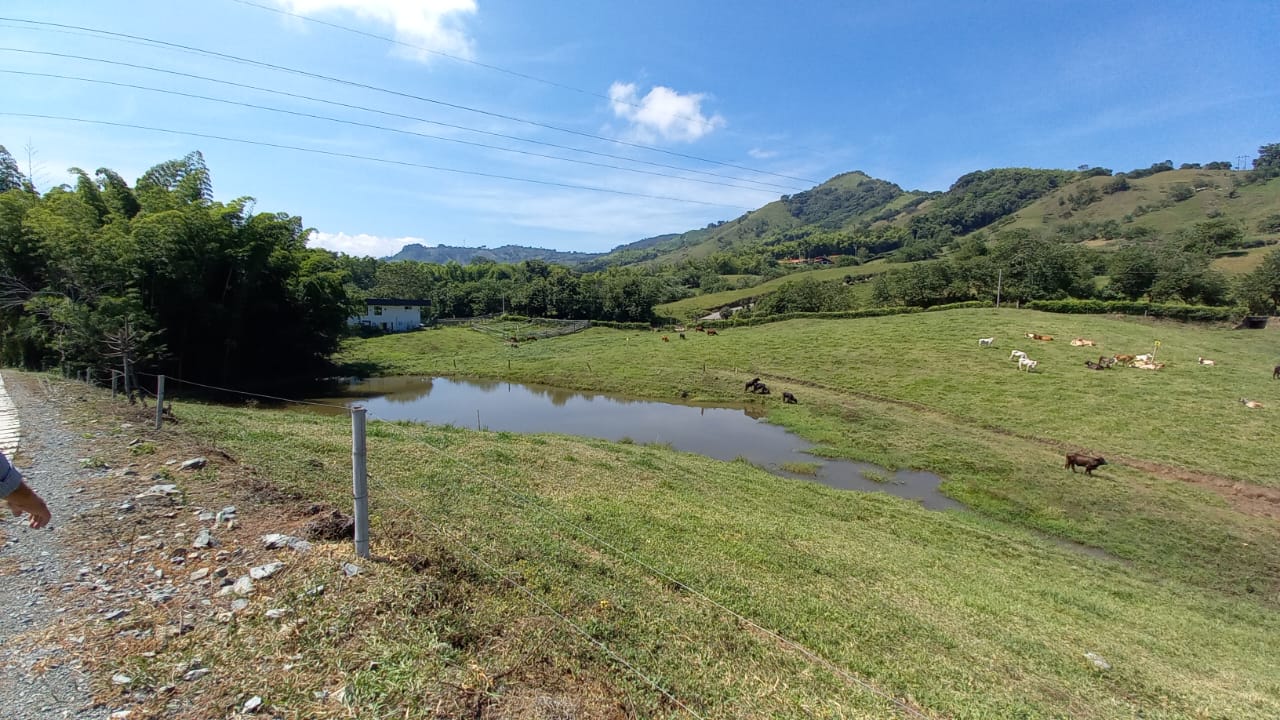 Foto de Lote / terreno en Venta en Vereda santagueda, Palestina - 19 - 279058796