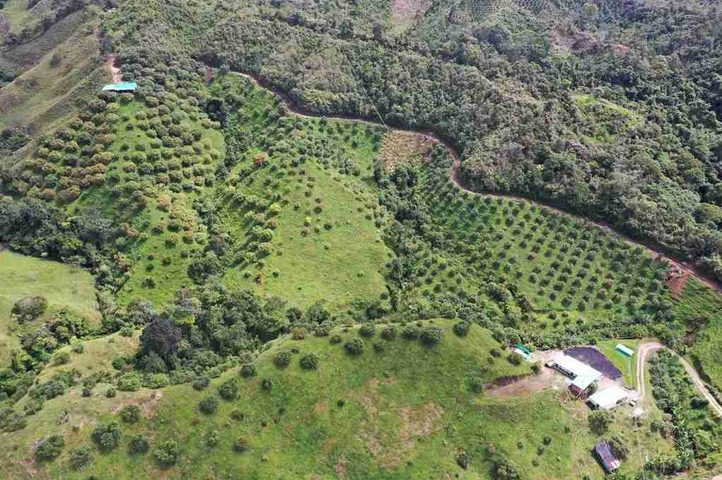 Foto de Finca en Venta en Vereda aguadita, Fresno - 22 - 279054270