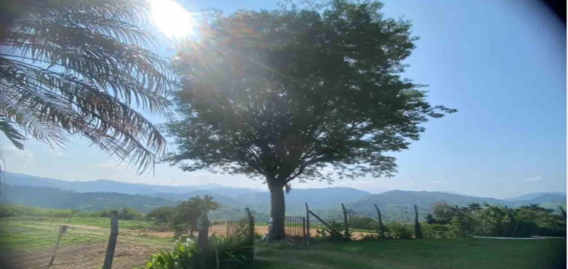 Foto de Lote / terreno en Venta en San bernardo del viento , Manizales - 3 - 279059453