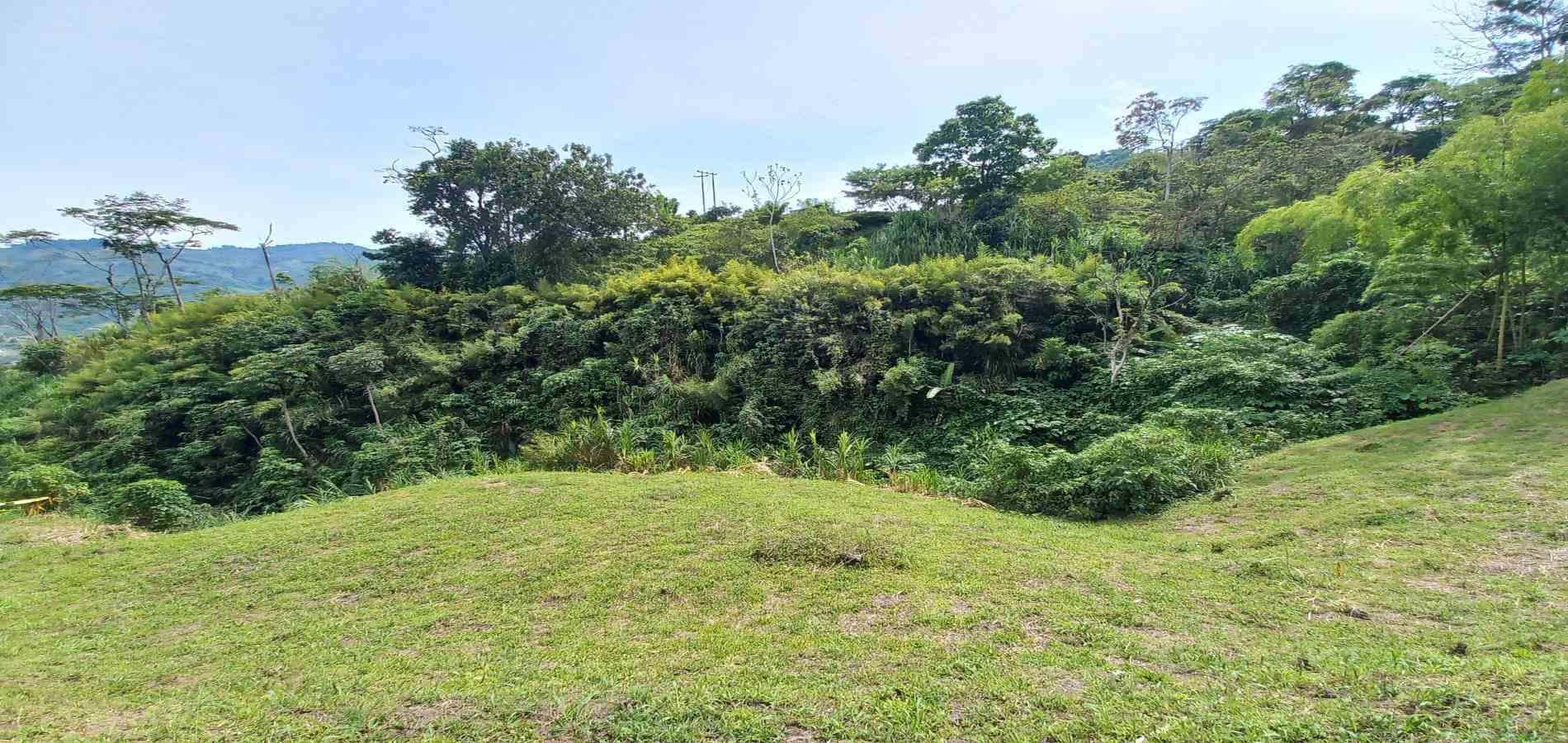 Foto de Lote / terreno en Venta en Combia, Pereira - 13 - 279069588