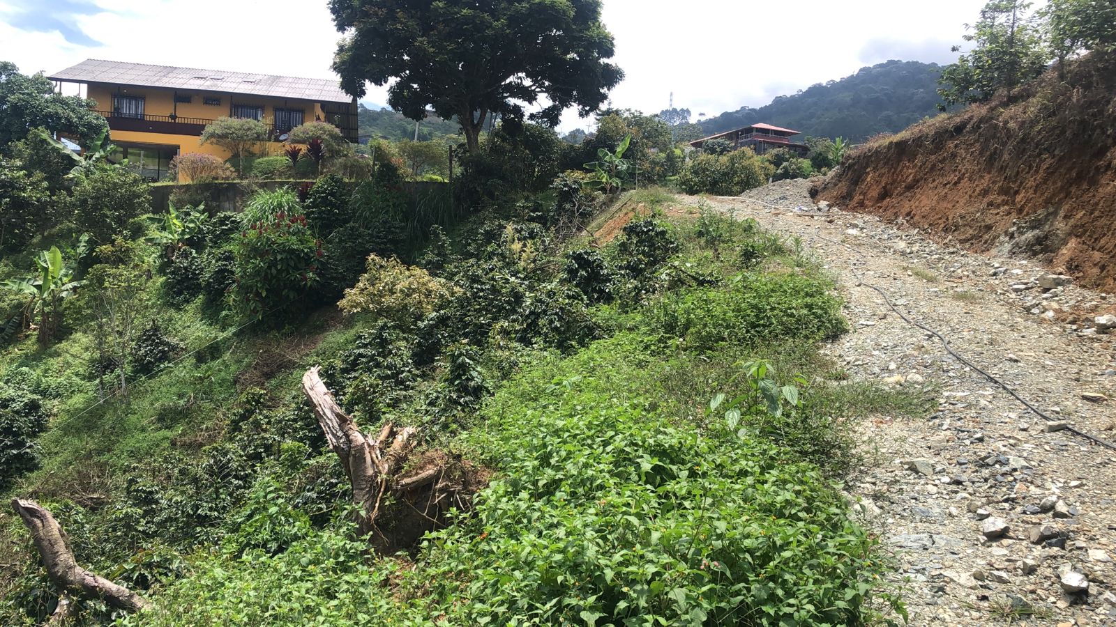 Foto de Lote / terreno en Venta en Dosquebradas, Dosquebradas - 4 - 279053272
