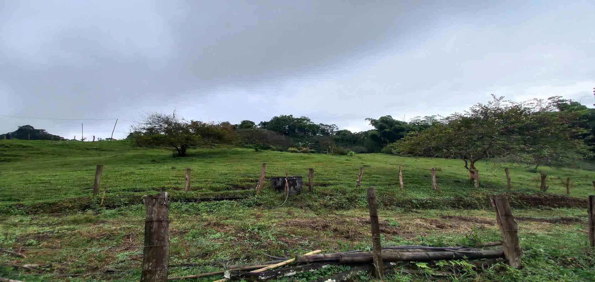 Foto de Lote / terreno en Venta en Veracruz, Santa rosa de cabal - 5 - 279066398