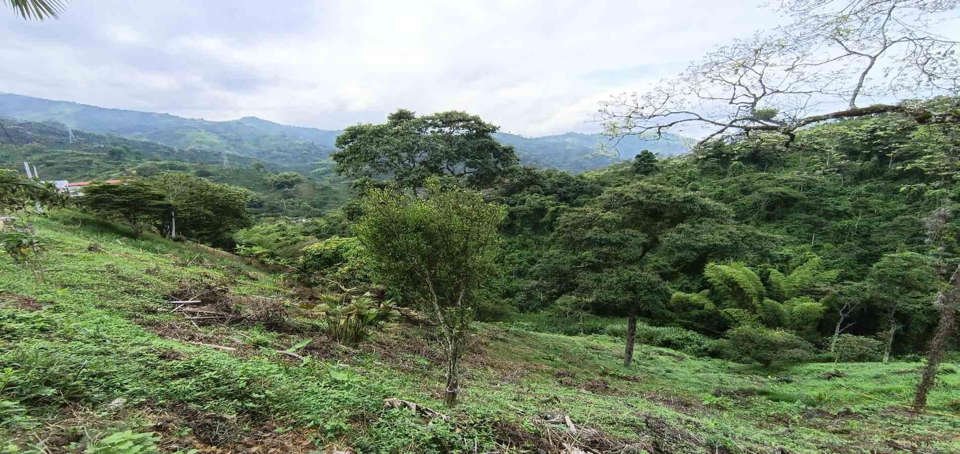 Foto de Lote / terreno en Venta en Vereda minitas , Manizales - 14 - 279068548