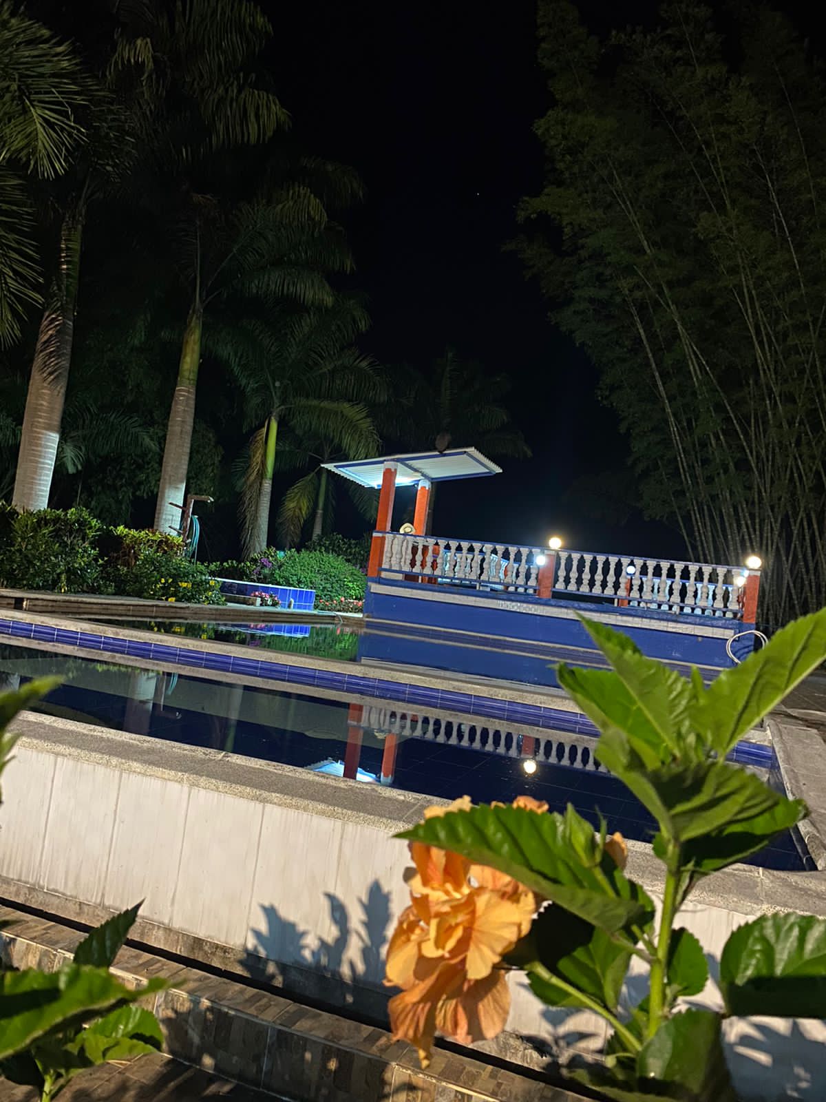 Foto de Finca en Venta en El guineo, Neira - 12 - 279053579