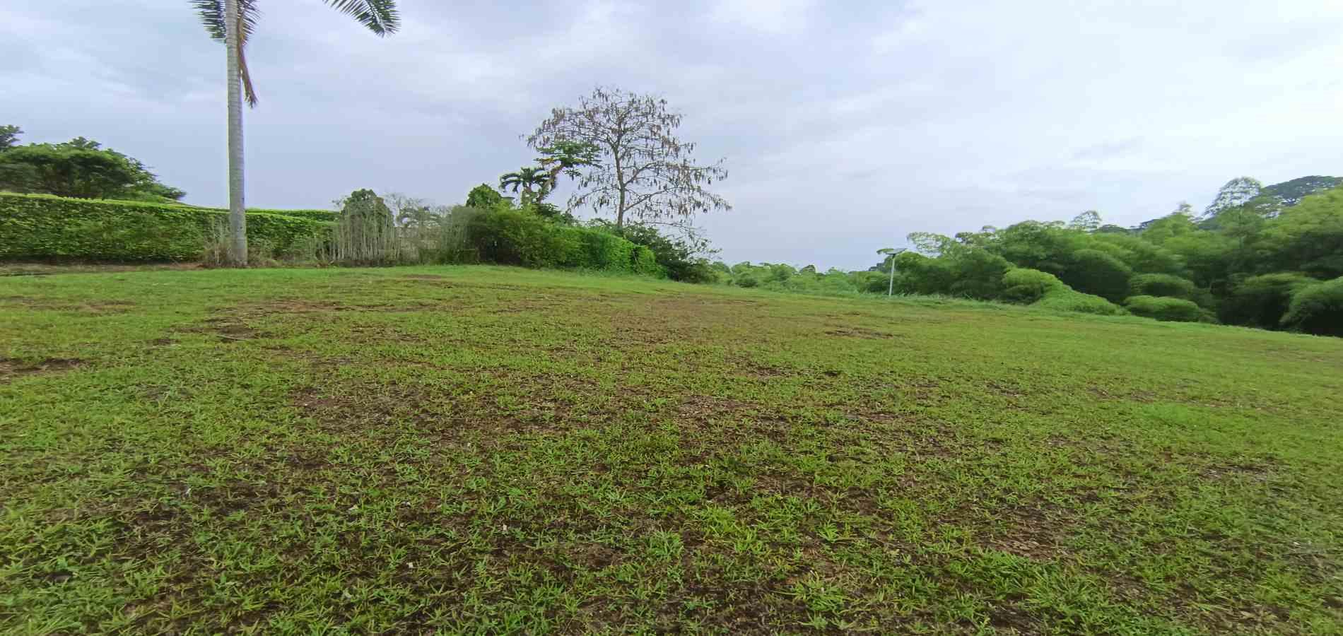 Foto de Lote / terreno en Venta en Vereda la trinidad, Manizales - 25 - 279069692