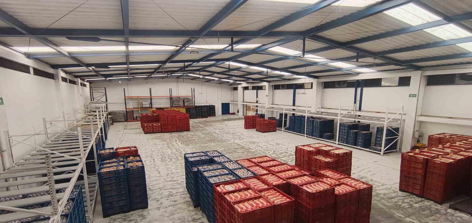 Foto de Bodega en Arriendo en Panamericana, Manizales - 17 - 279067559
