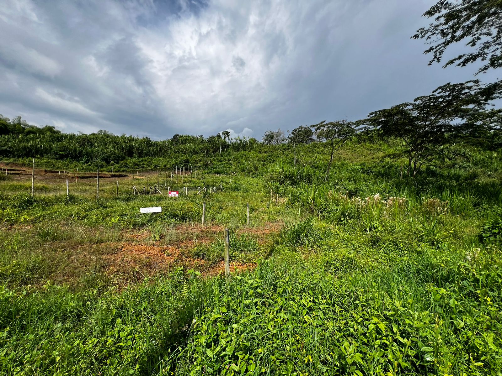 Foto de Lote / terreno en Venta en Bosques de la acuarela, Dosquebradas - 3 - 279057792