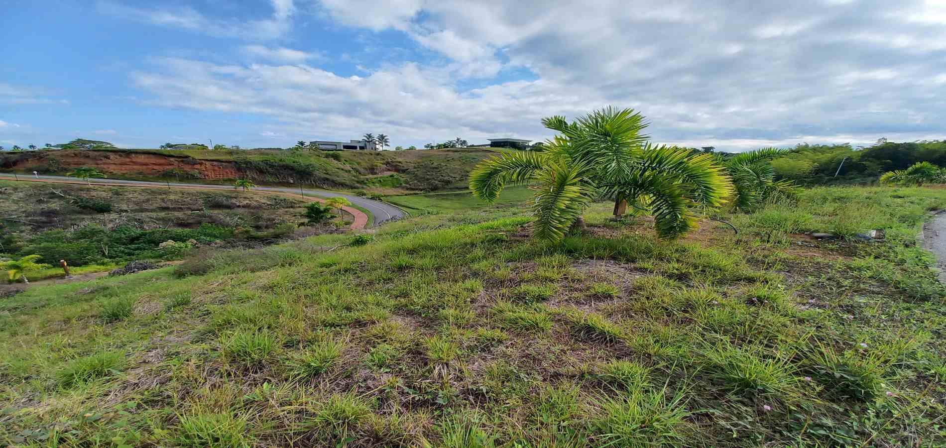 Foto de Lote / terreno en Venta en Cerritos, Pereira - 2 - 279067405