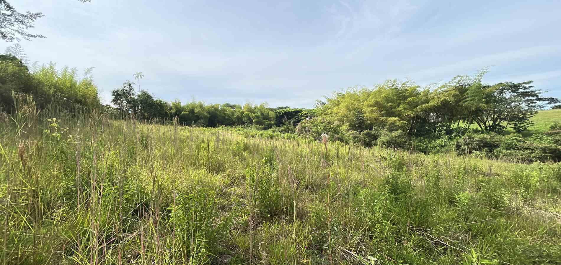 Foto de Lote / terreno en Venta en Cerritos, Pereira - 9 - 279068066