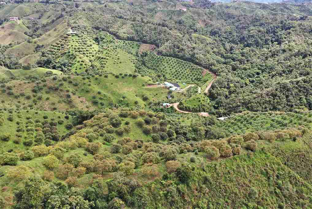 Foto de Finca en Venta en Vereda aguadita, Fresno - 4 - 279054270