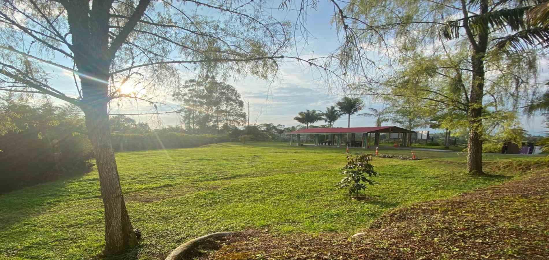 Foto de Finca en Venta en Centro, Filandia - 3 - 279063010