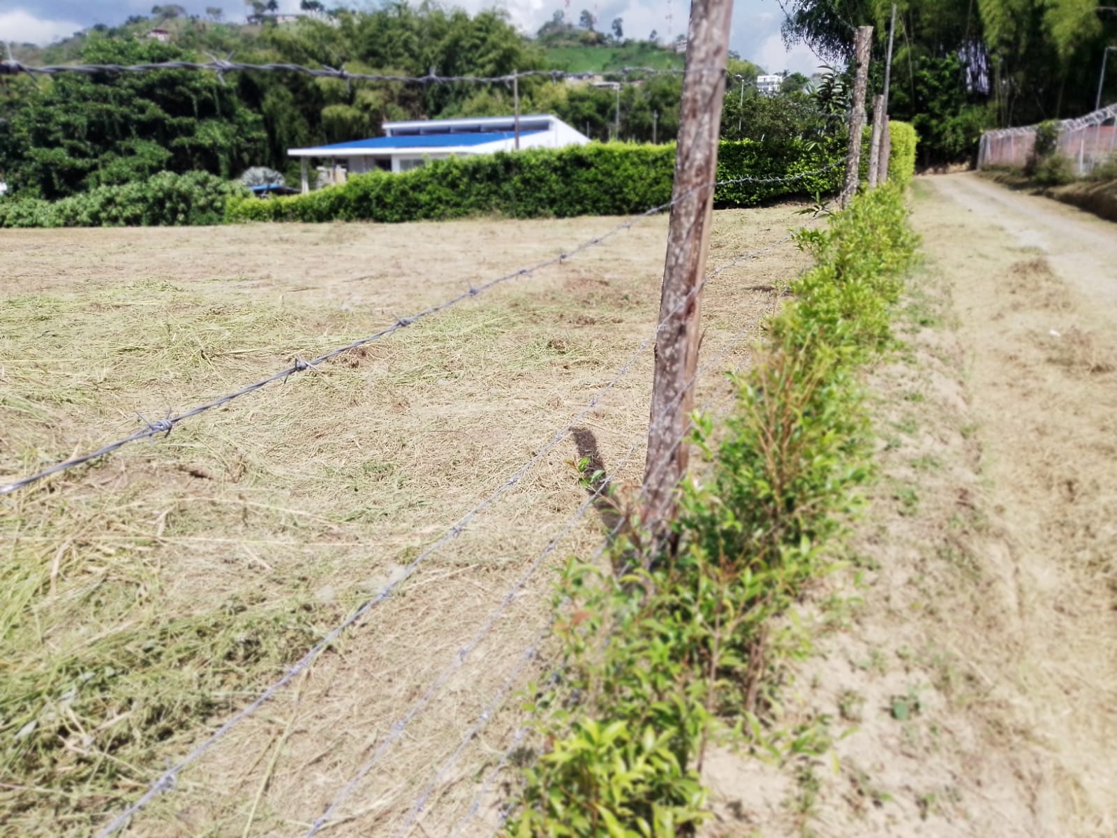 Foto de Lote / terreno en Venta en Combia, Pereira - 1 - 279063700