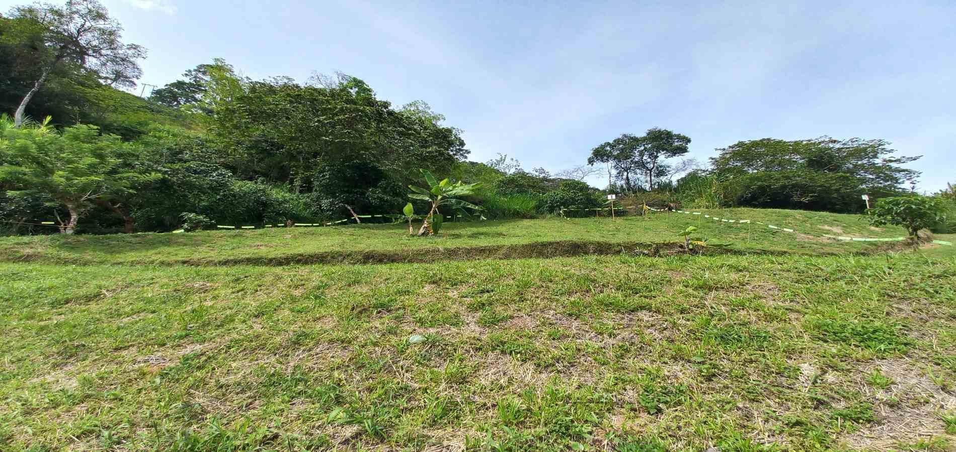 Foto de Lote / terreno en Venta en Combia, Pereira - 12 - 279069588
