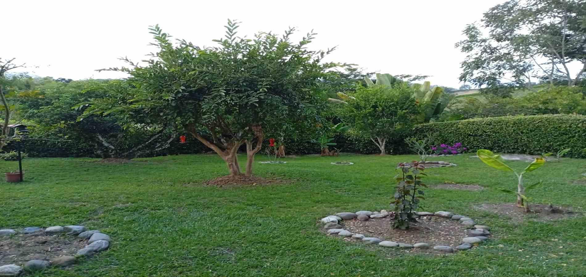 Foto de Casa campestre en Venta en Vereda palermo, Neira - 3 - 279068973