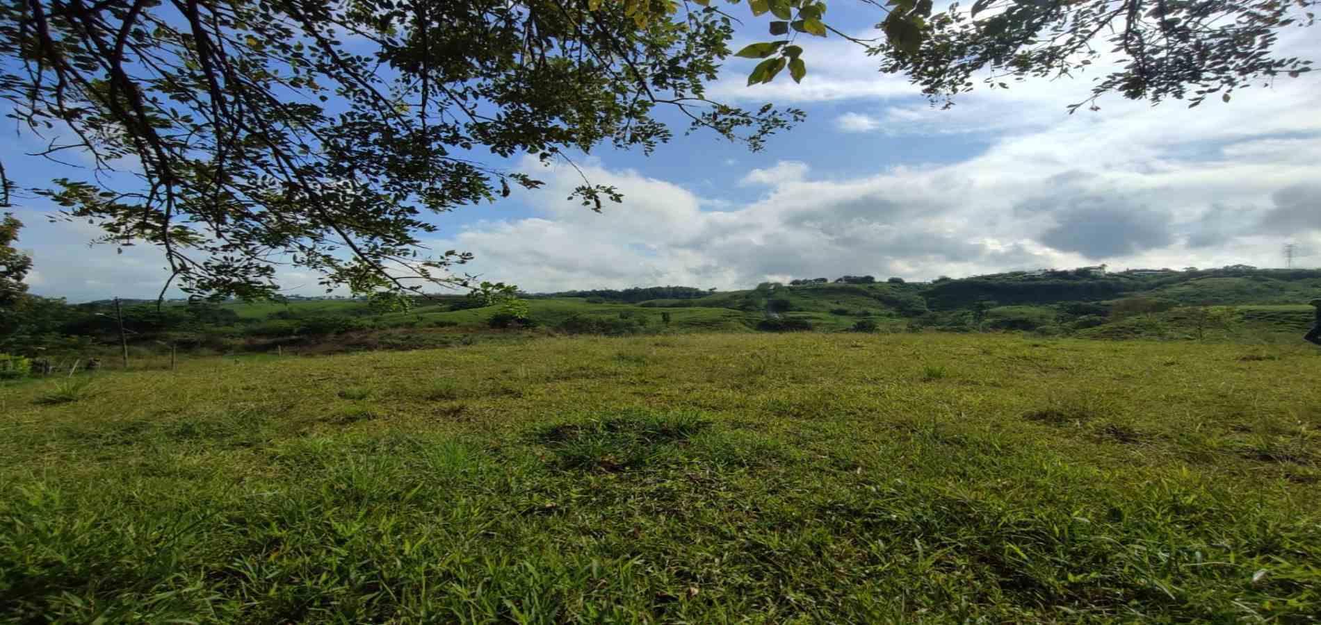 Foto de Lote / terreno en Venta en Centro, Pereira - 8 - 279063216