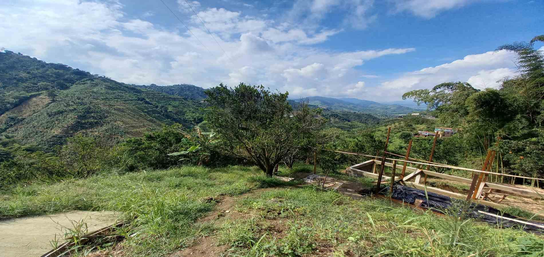 Foto de Finca en Venta en San peregrino, Manizales - 8 - 279061656