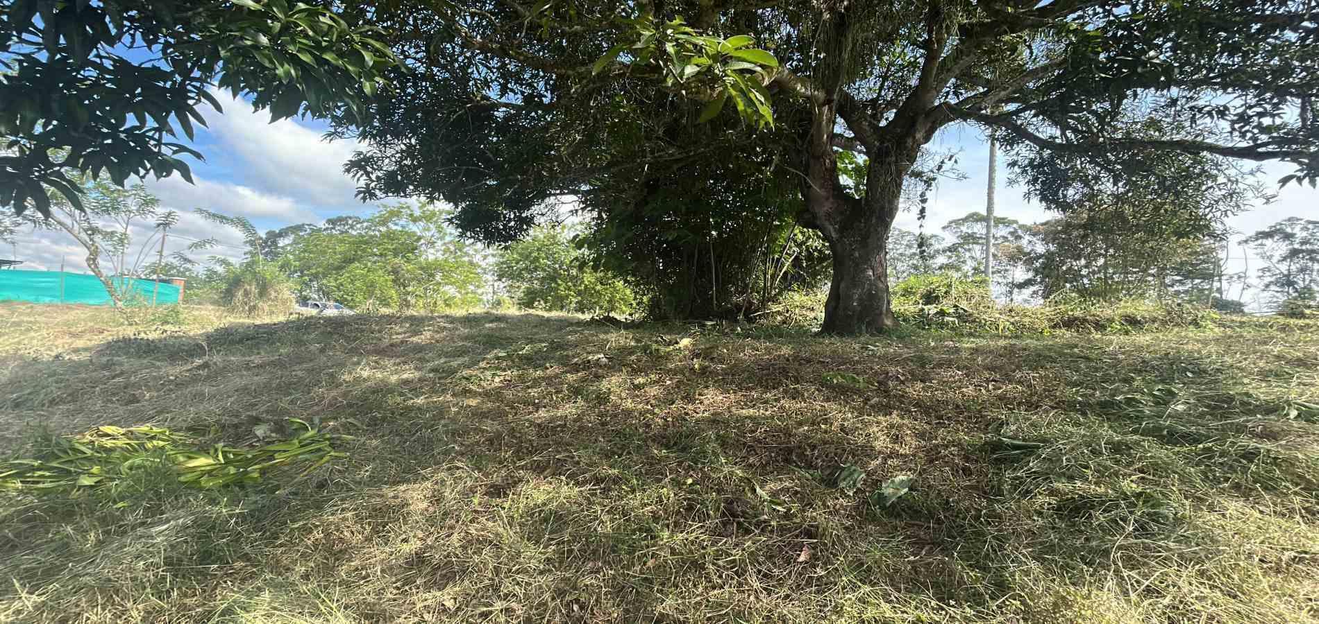 Foto de Lote / terreno en Venta en Via alcala, Pereira - 8 - 279066755